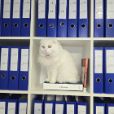 LPG luxembourg : expertise en secrétariat social